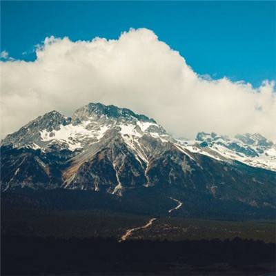 炸金花单机游戏app下载