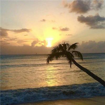 云开·棋牌官方网站